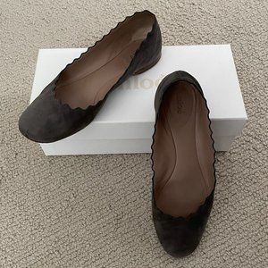 CHLOE Lauren Scalloped Ballet Flat in Grey Suede Leather